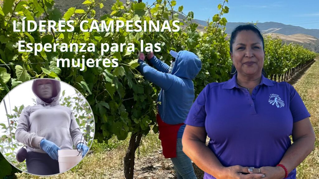 Reconocer las señales de violencia y pedir ayuda son pasos fundamentales que pueden salvar vidas